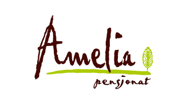 Pensjonat w Iwoniczu Zdrój - Amelia